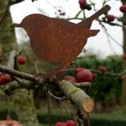Winterkoninkje Staand Op Tak Decoroest -Tuinbeelden winkel winterkoninkje staand decoroest 1515418003 2 600