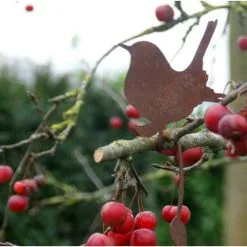 Winterkoninkje Zittend Decoroest -Tuinbeelden winkel winterkoninkje zittend decoroest 1516114735 2 600