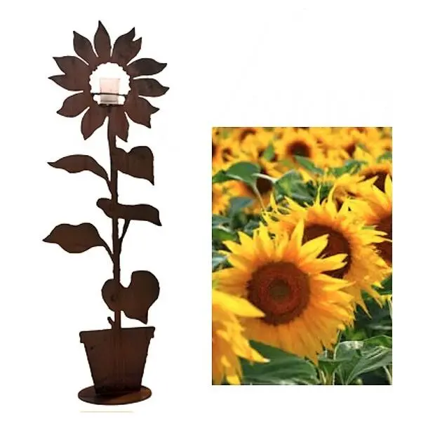 Zonnebloem In Pot - Decoroest 1 Zonnebloem In Pot - Decoroest